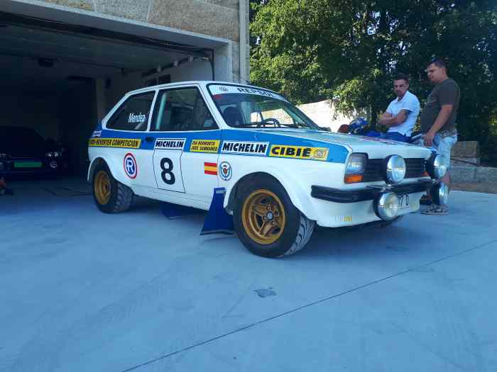 ford fiesta mk1 top gr2 FIA 0