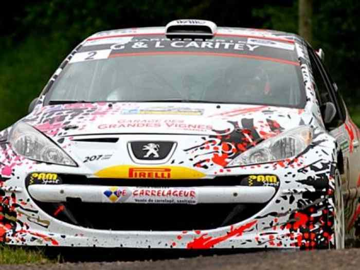 Déstockage pièces neuves Peugeot Sport 207 S2000
