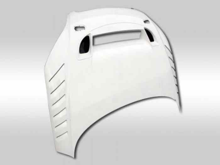 CAPOT CARBONE AUDI TT 8J MK2 2