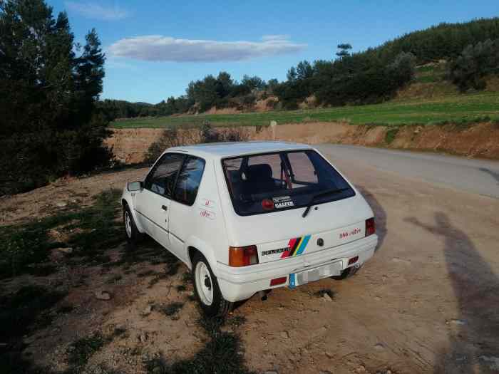 Peugeot 205 rallye 2