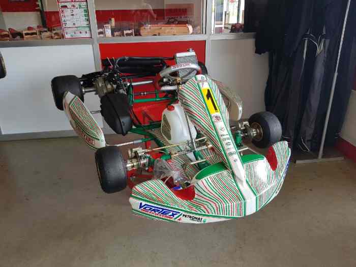 Karting 125cc rotax DD2 Tony kart 0