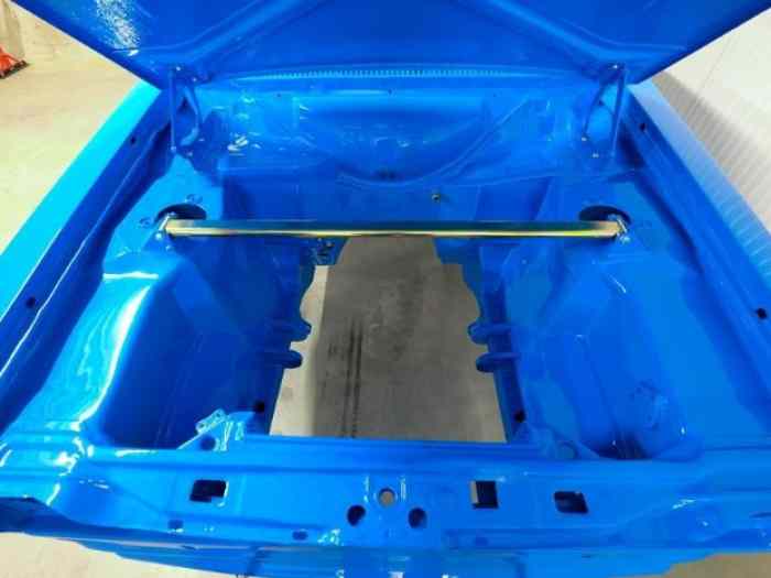 New Escort Mk2 Bodyshell FIA Group 4 Historic Full Works Spec by Wales Motorsport 2