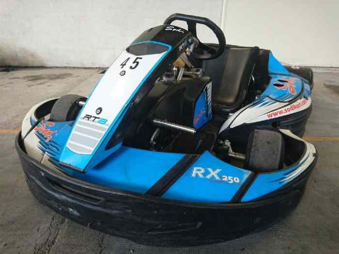 SODIKART RX250