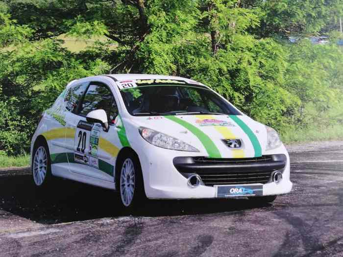 Recherche copilote pour rallye Haut Pays Niçois