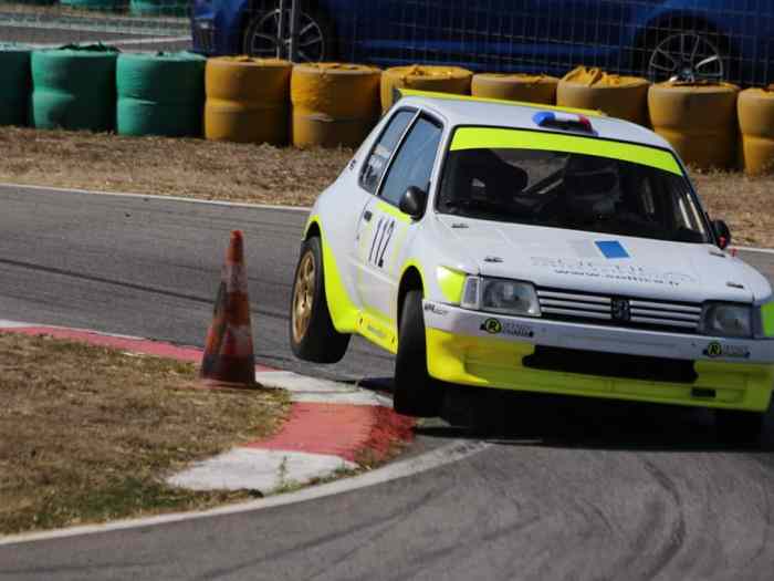205 maxi f2000 1