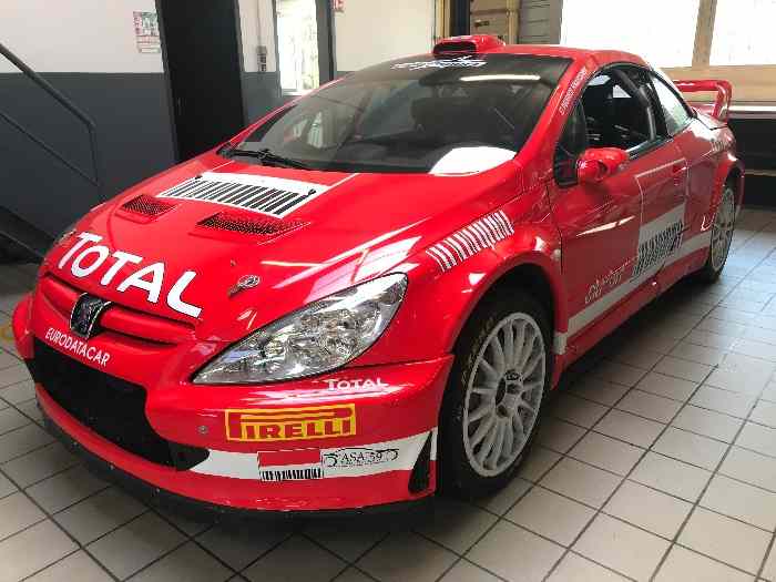 Peugeot 307 WRC 0