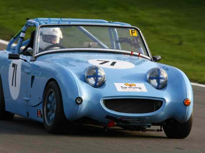 Austin Healey Frogeye 2