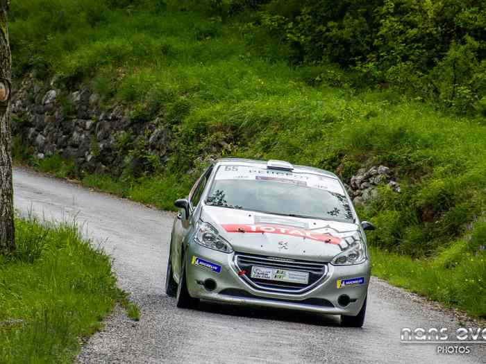 Peugeot 208 R2 2