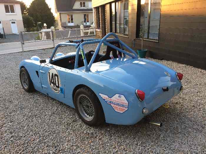 Austin Healey Frogeye 5