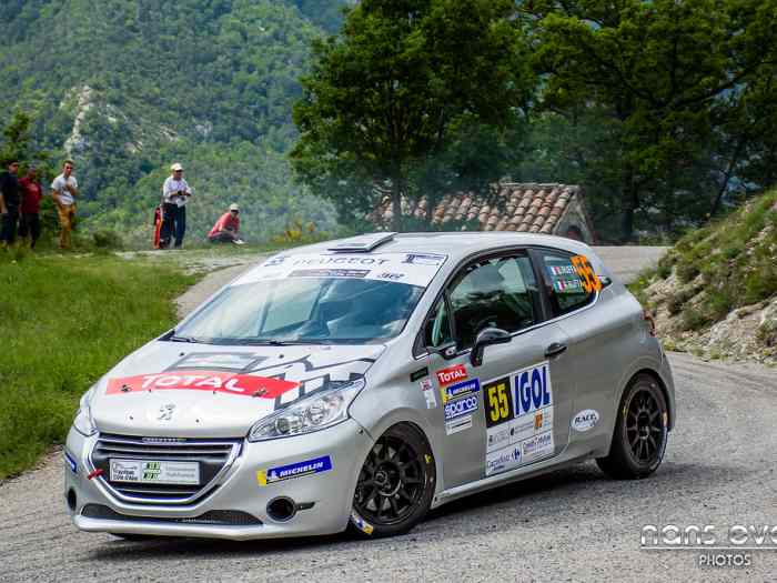 Peugeot 208 R2 0