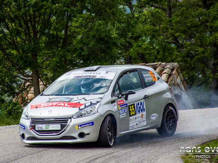 Peugeot 208 R2 1