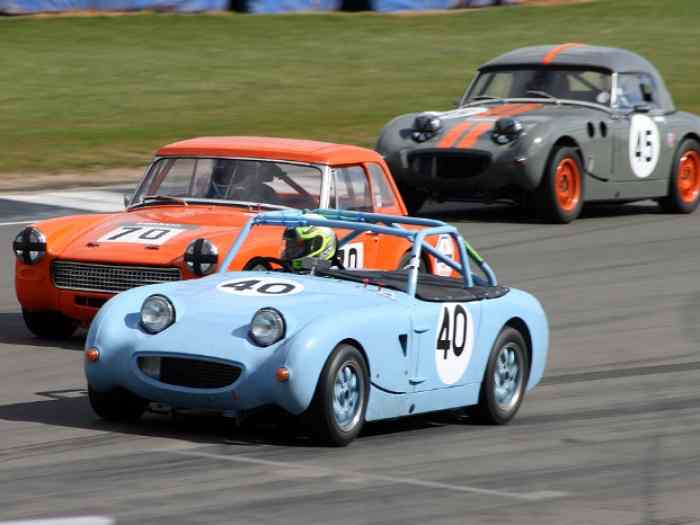 Austin Healey Frogeye 1