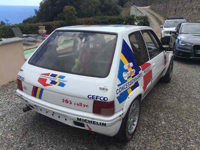 205 rallye F2000/12 4