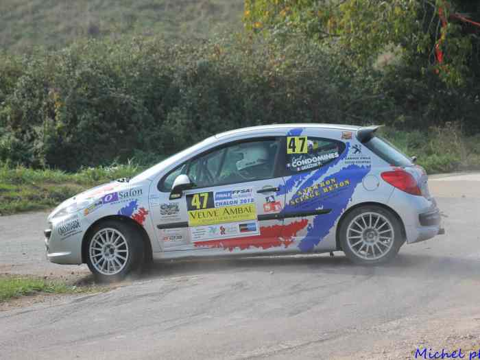 207 RC A8 accidentée 1