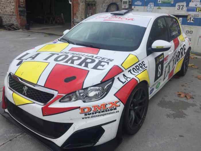 peugeot 308 cup 2