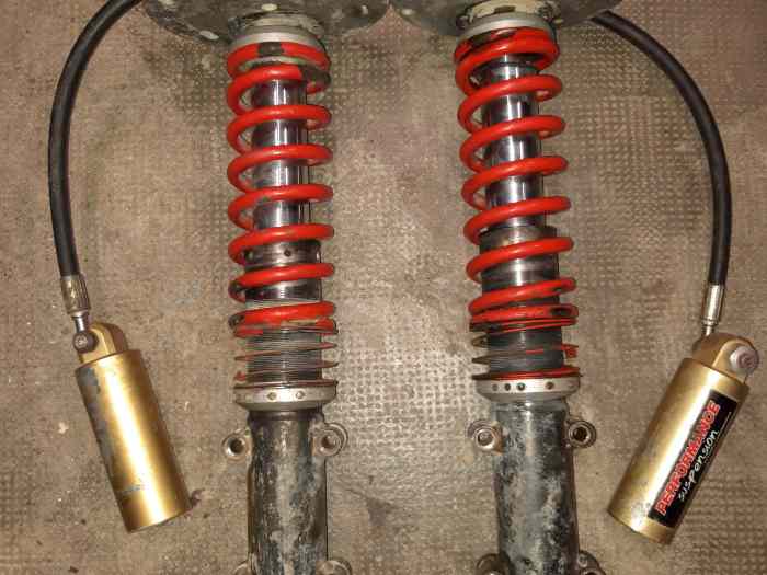 Amortisseurs Proflex 3 voies pour 309 EVO 0