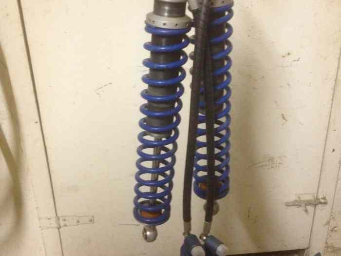 Amortisseurs aragosta/proflex