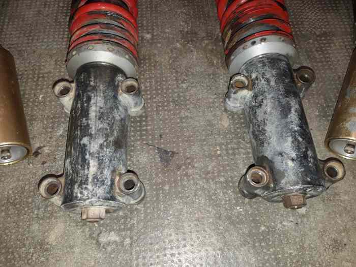 Amortisseurs Proflex 3 voies pour 309 EVO 5