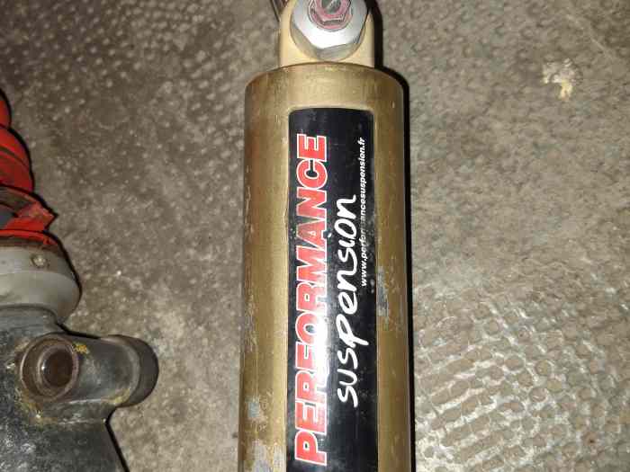 Amortisseurs Proflex 3 voies pour 309 EVO 2