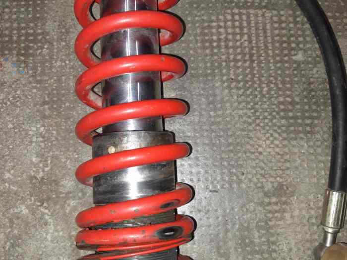 Amortisseurs Proflex 3 voies pour 309 EVO 1