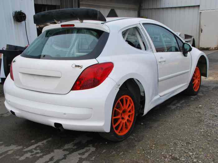 Caisse 207 THP Peugeot Sport 1