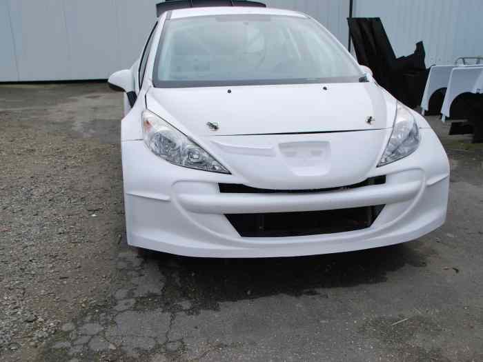 Caisse 207 THP Peugeot Sport 2