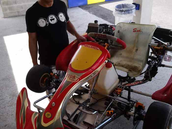 Karting rotax max 125 0