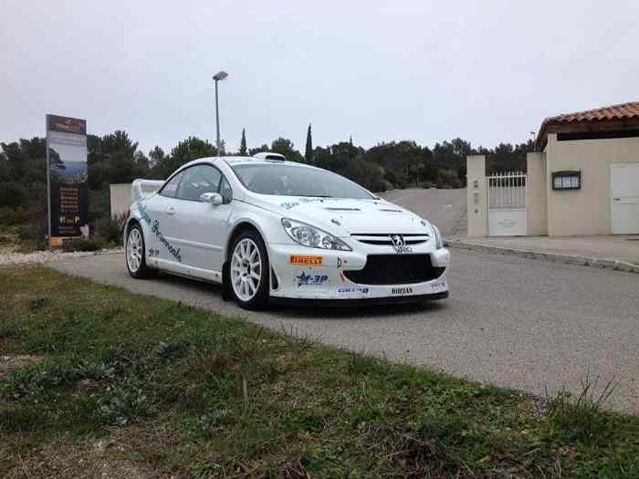 !!! A VENDRE !!! 307 WRC FULL SPEC 1