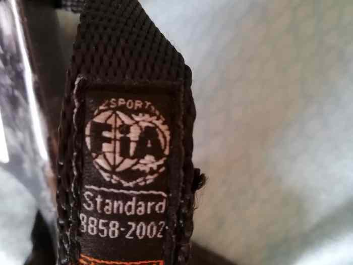 Casque ffsa et hans 2