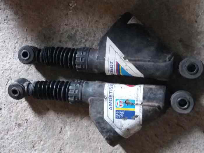Amortisseurs arrieres PTS pour 205 gti 0