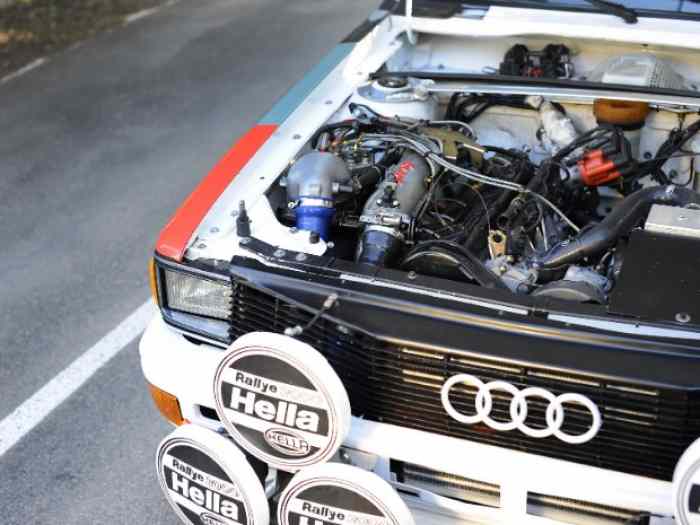 AUDI QUATTRO GR4 2