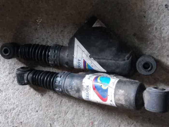 Amortisseurs arrieres PTS pour 205 gti 1