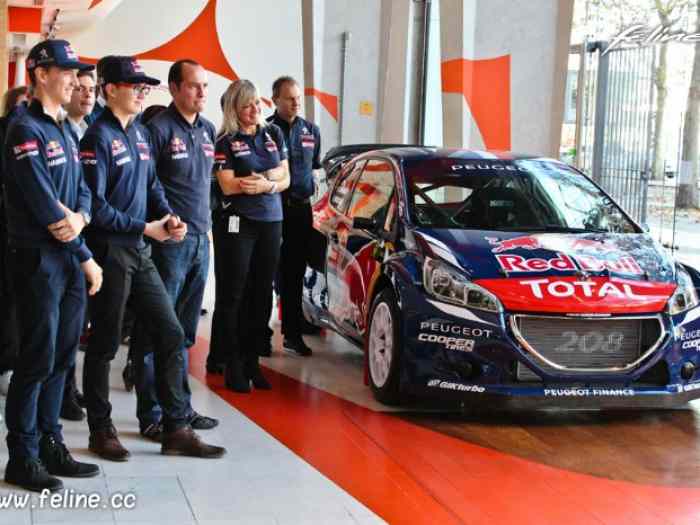 208 WRX - Peugeot/HANSEN – photo 4 sur 5