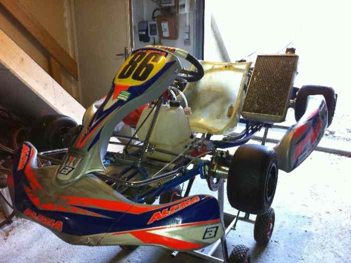 Kart 125 BV ALPHA