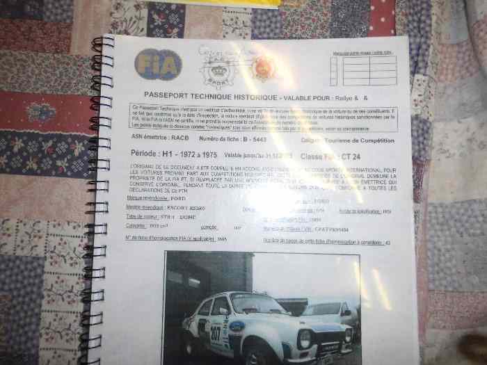 Ford Escort PTH 3