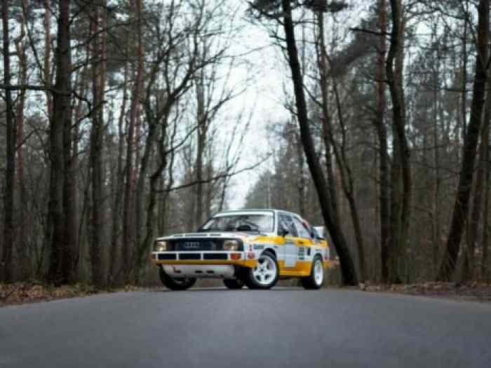 Audi Quattro S1 replique 0