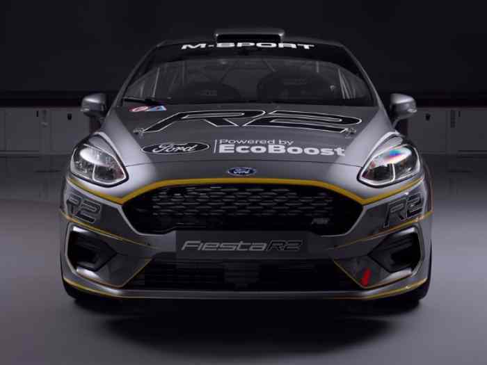 New Ford Fiesta R2T 2019 FOR RENT 1