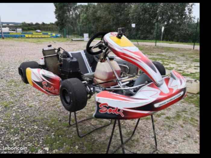 Sodikart 125 cc rotax max