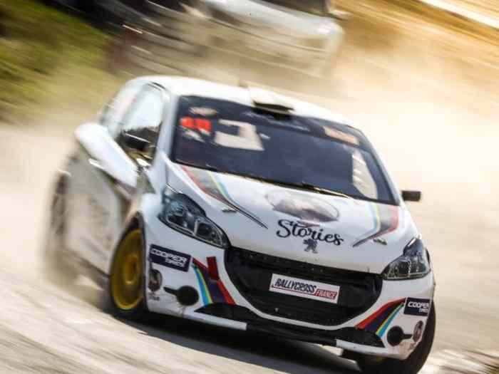 Peugeot 208 F2014 - 2L - RALLYE - RALLYCROSS Montage 2019 5