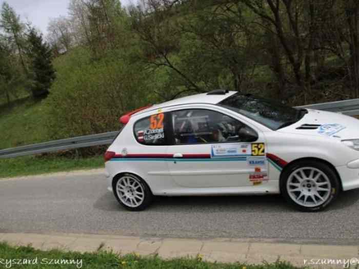 Peugeot 206 RC Top gr. A new built 0