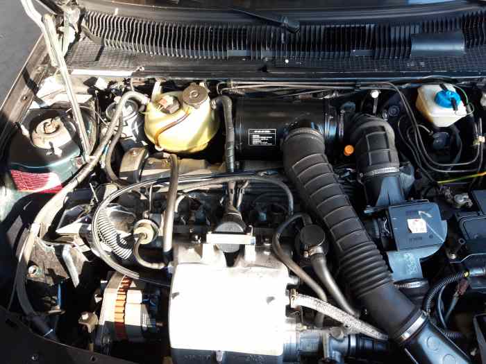 Peugeot 205 Gentry 1