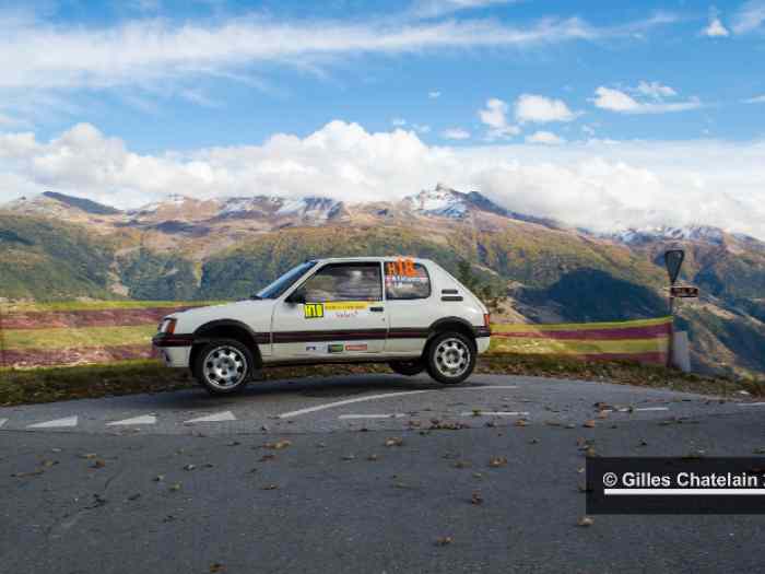 Peugeot 205 GTI TOP Gr.A 1