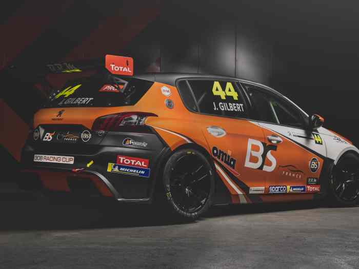 Peugeot 308 Racing Cup 0