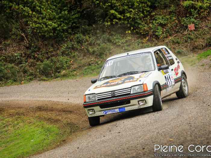 Peugeot 205 GTI TOP Gr.A 2