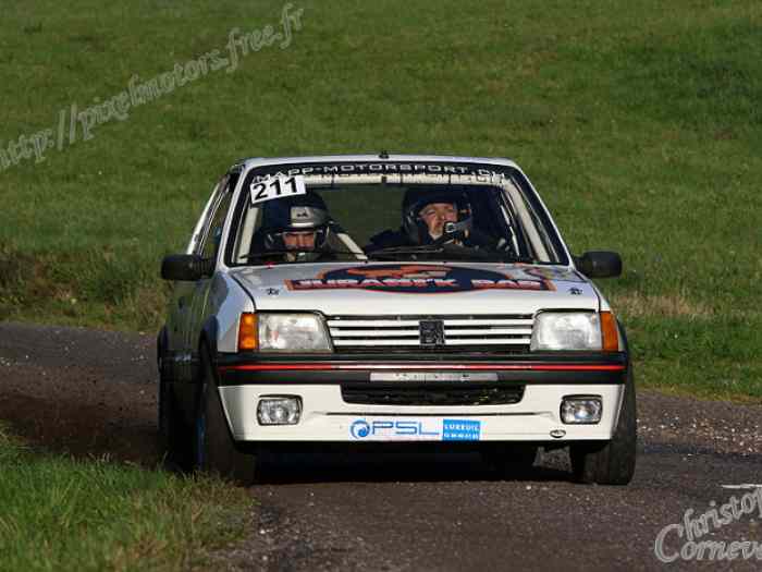 Peugeot 205 GTI TOP Gr.A 3