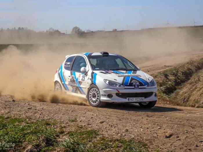 Peugeot 206 RC 4