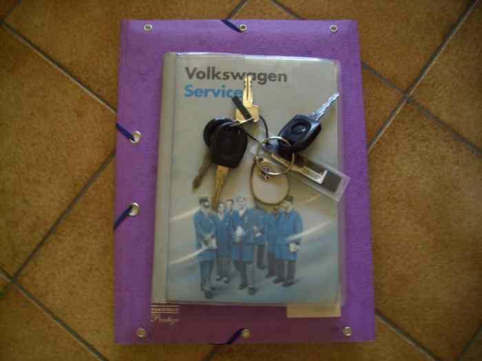 Superbe Golf 3 GTI 20th anniversaire 73500 kms certifiés 5