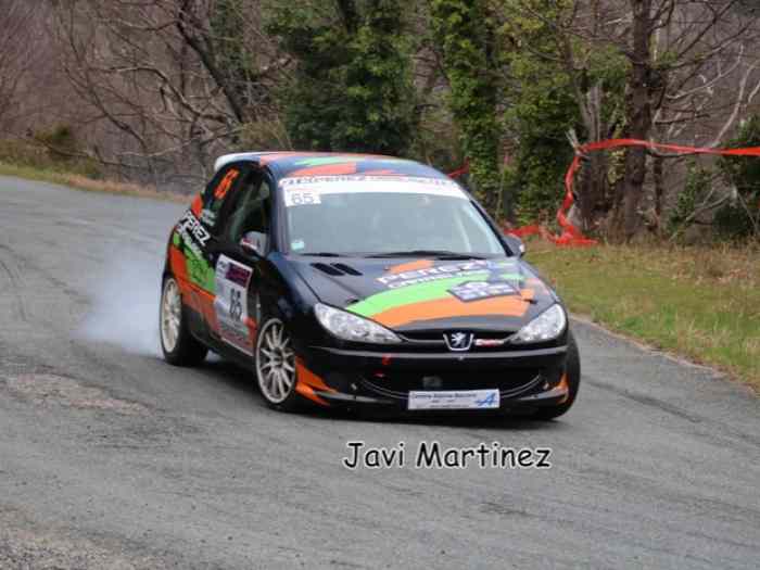 206 rc Top Gr A7