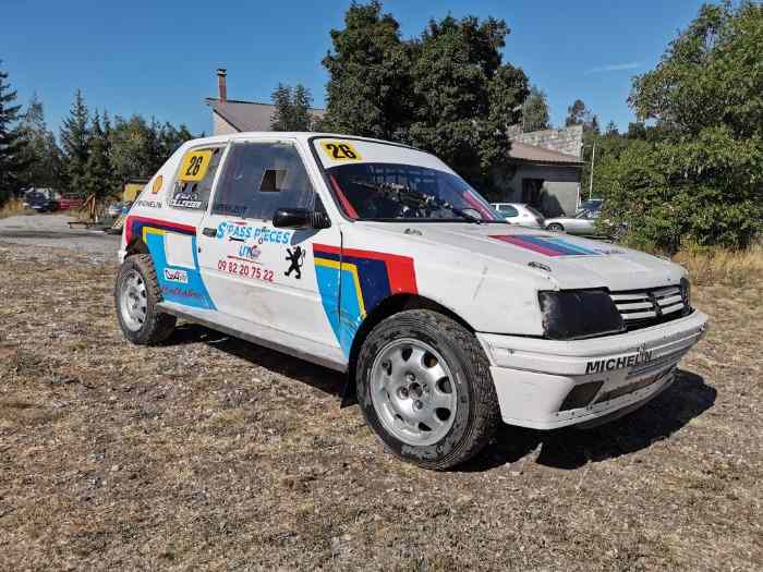 205 gti autocross 5
