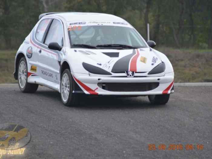 Peugeot 206 S1600 Rallycross,Autocross 2